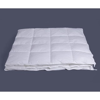 Ruột chăn Hanvico Micro cao cấp siêu mềm 200*220