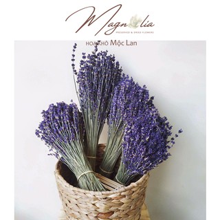 Hoa khô Lavender 🍁FREESHIP🍁 True Lavender hoa khô thuần chủng Pháp, tím than siêu đẹp, ít rụng