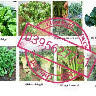 hatgiong-Hạt Giống Rau Hoa Quả