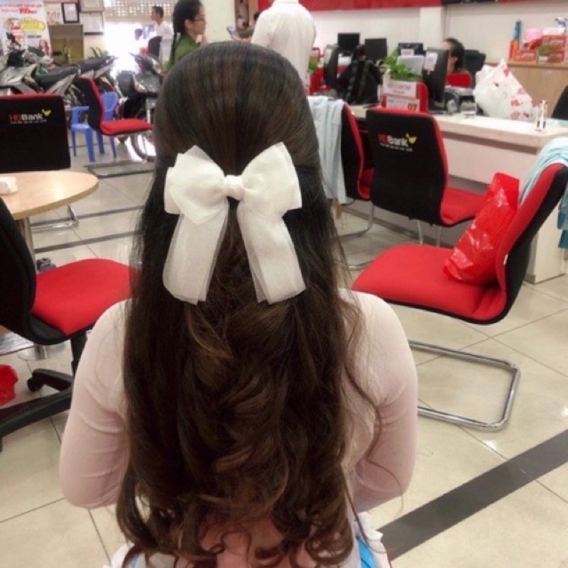 Kẹp nơ voan phối