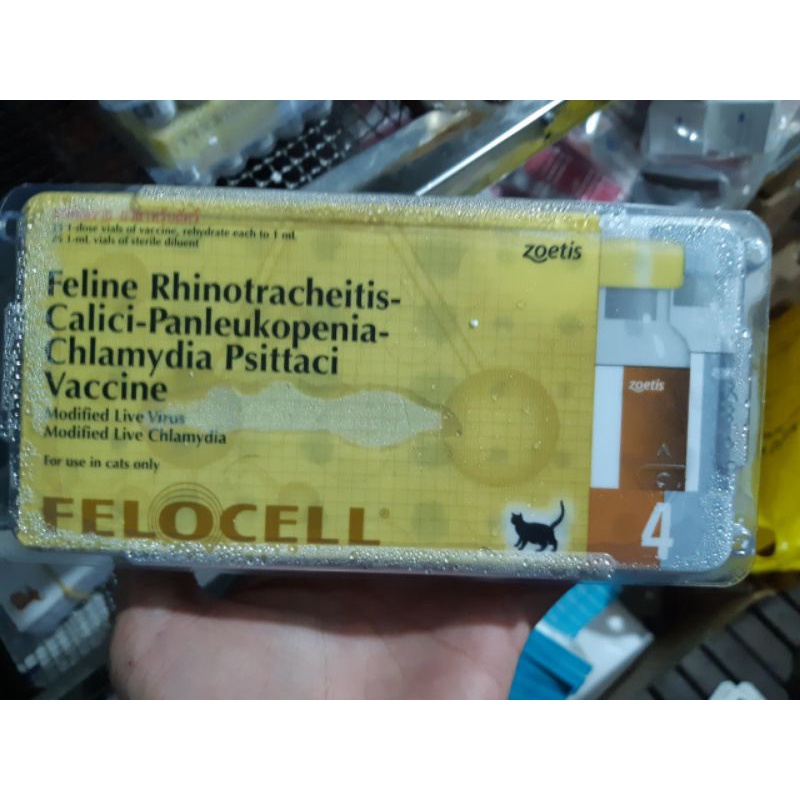 V.C 4 bệnh mèo Mỹ. Nhận tiêm tại nhà [sản phẩm cần bảo quản lạnh]