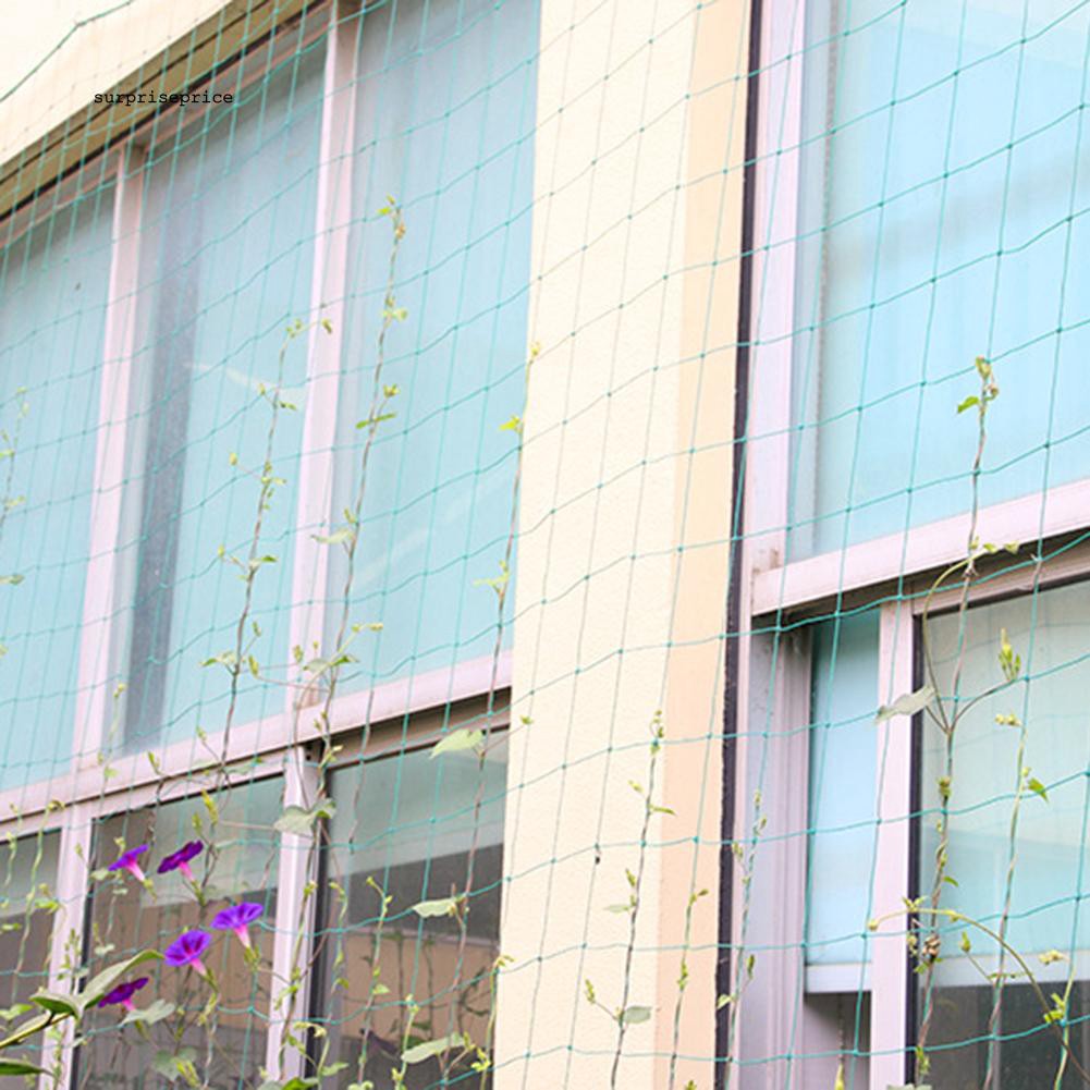 Lưới hỗ trợ trồng cây dây leo bằng nylon