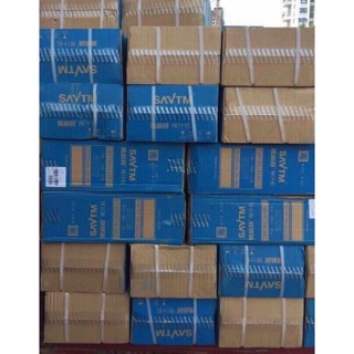 Máy ép chậm SAVTM JE-07