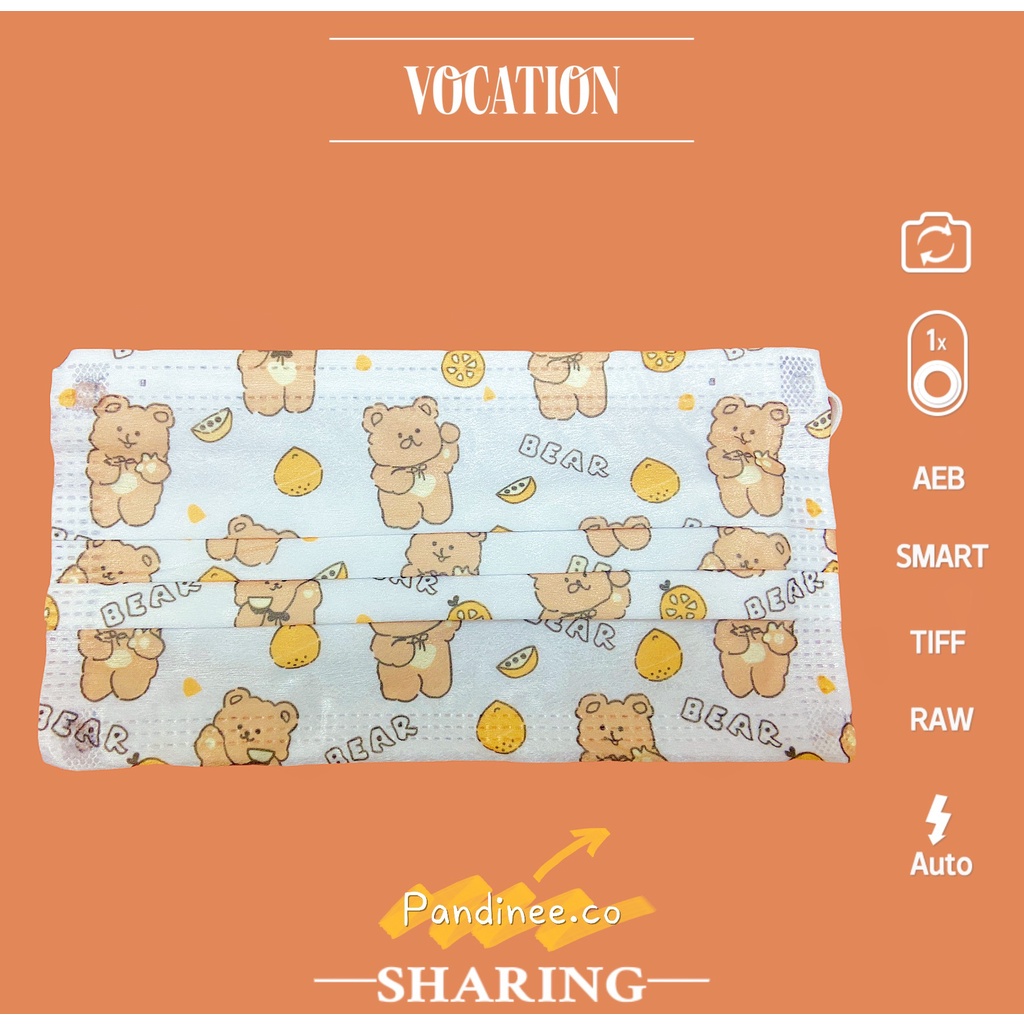 Khẩu trang người lớn in hoạ tiết hoạt hình gấu cute, nhiễu mẫu mới đáng yêu Pandinee KT01