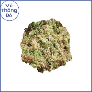 Rêu rừng trồng lan 200g