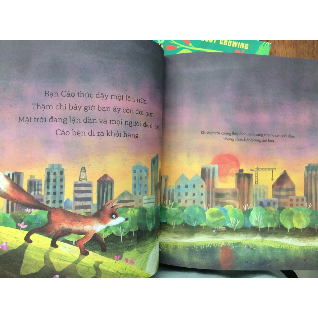 Sách - Câu chuyện khoa học cho bé - A Science Storybook (Bộ 4 quyển)