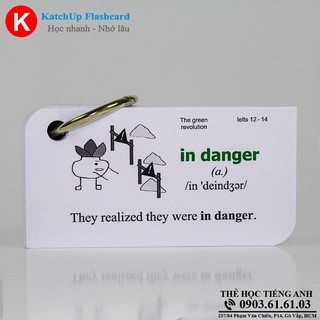 Bộ KatchUp Flashcard IELTS B - Standard (02BS)