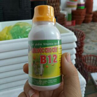 Vitamin B12, giải độc, chống sốc cho lan và cây trồng.