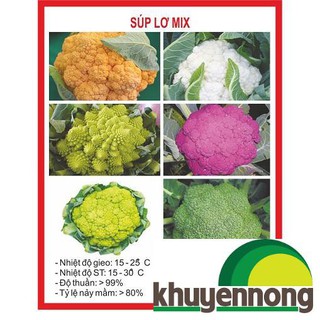 Gói 100 hạt giống súp lơ mix