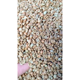[DEN COFFEE] 1KG cà phê nhân xanh (RO sẻ) Daklak