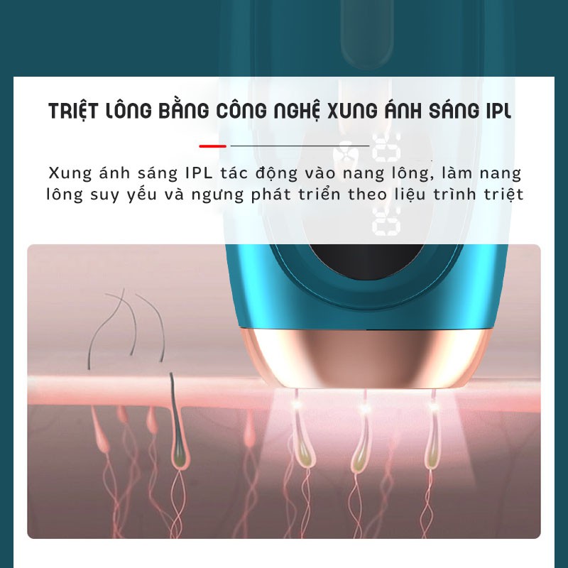 Máy Triệt Lông Mini Vĩnh Viễn Cầm Tay Cá Nhân Tại Nhà Công Nghệ IPL 999.000 Xung