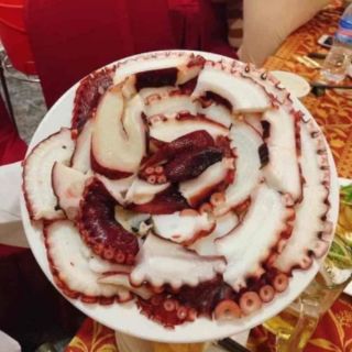 Râu bạch tuộc đỏ