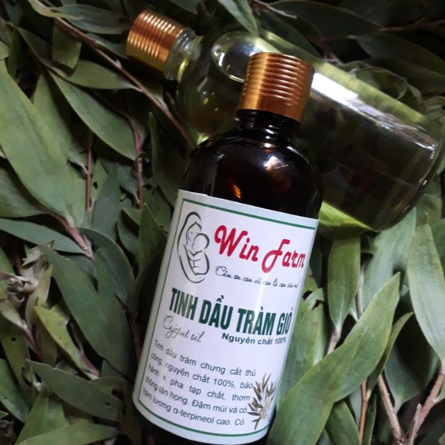 Tinh dầu tràm nguyên chất.