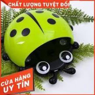 BỌ RÙA LEO TƯỜNG ĐỰNG ĐỒ ĐA NĂNG [Xưởng Sỉ Dương Biên]