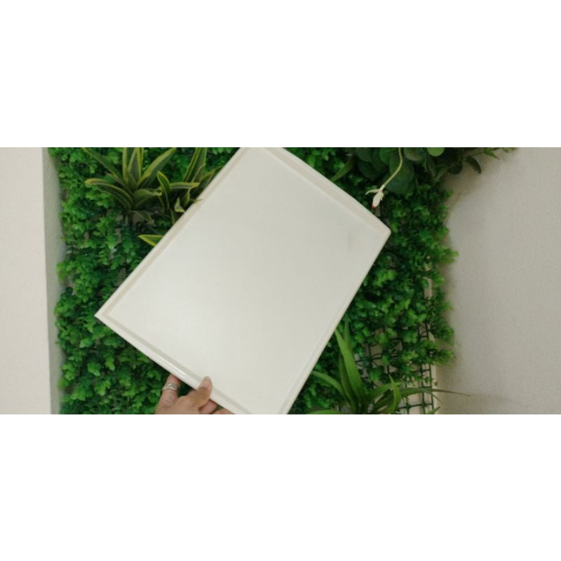 Khay nhựa cứng 27*37