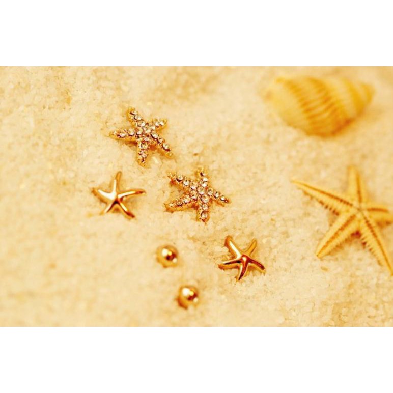 Bộ 3 đôi bông tai đính đá nhỏ gọn hình sao biển xinh xắn cho nữ