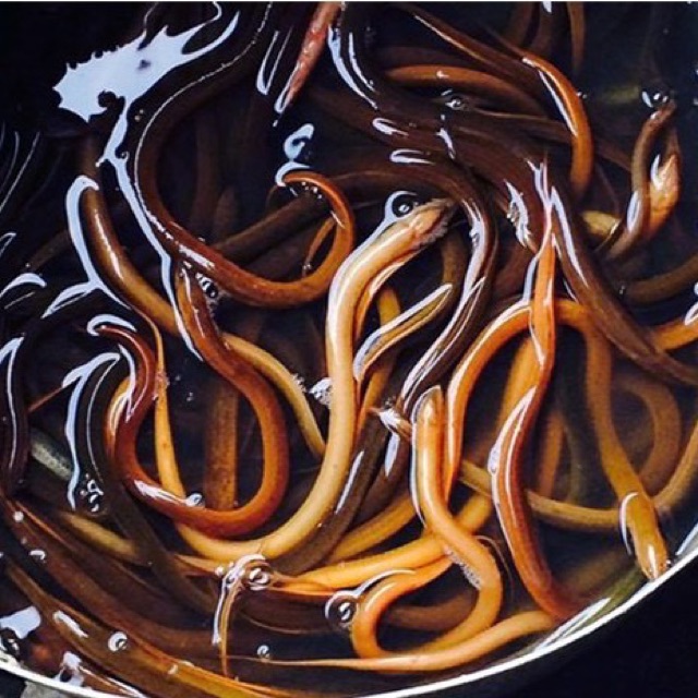 thuốc dụ lươn ăn dạng bột siêu nhậy hàng loại 1 giá rẻ y hình