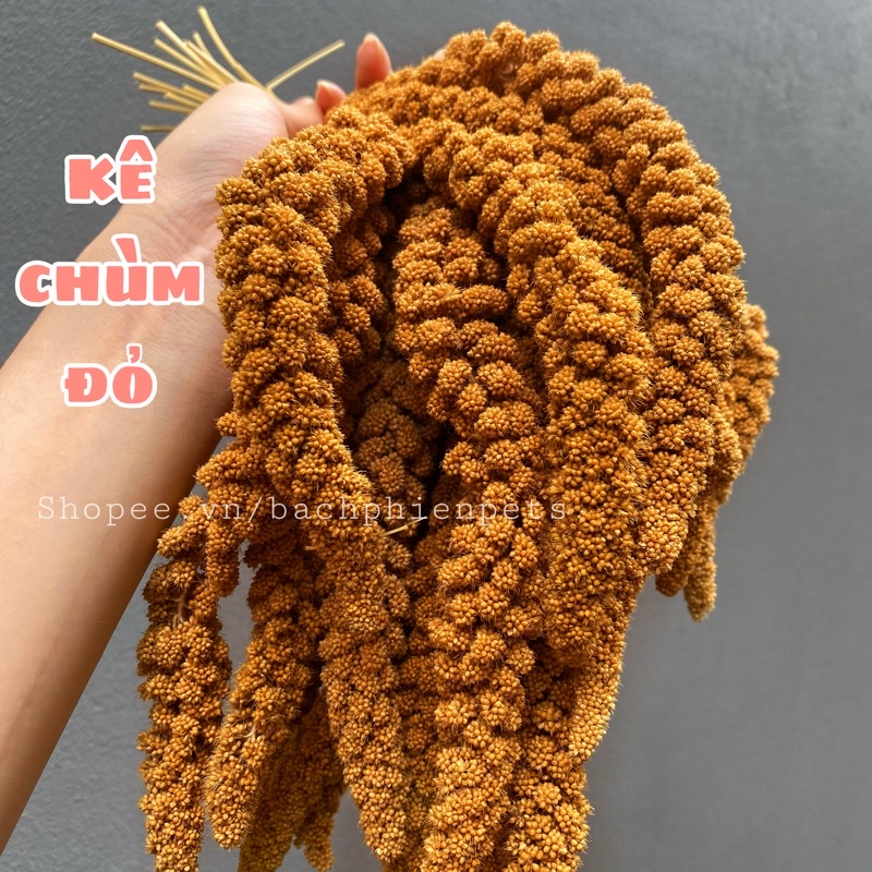 Kê Chùm Thức ăn cho hamster 35-40gr (4-7 sợi)