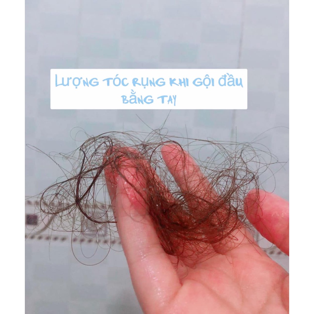 [Có bảo hành+quà tặng] Lược gãi đầu lược gội đầu Hàn Quốc cao cấp Cool Green giảm gàu ngứa giảm rụng tóc