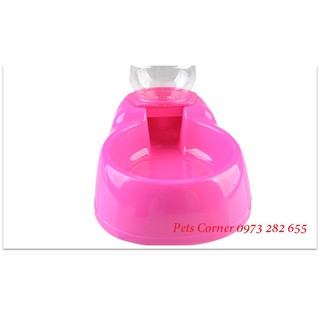 Bát cấp nước tự động 350ml