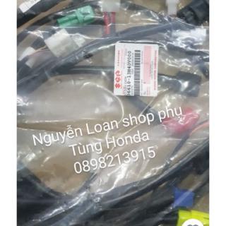 Bộ dây điện sườn hayate