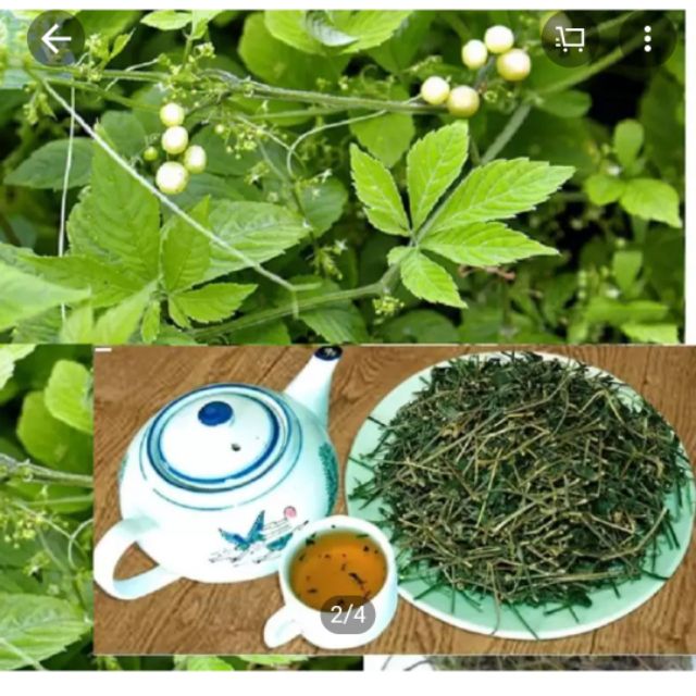 1kg Giảo cổ lam