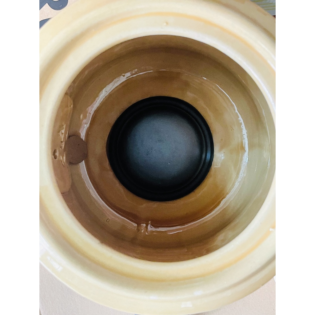 Ấm sắc thuốc Trường Sinh BA - 1983A 3.2L