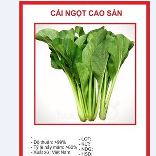 combo 4 gói hạt giống rau cải ( cải ngọt, cai xanh ,cải chíp, cải ngòng )