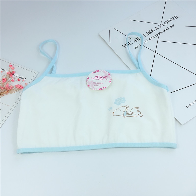 Bra / Áo Lá Học Sinh Một Lớp Cotton hàng đẹp MK-M6012