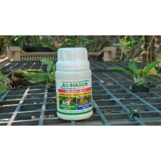 Phân bón ac masun – chống vàng lá