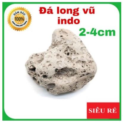 Vật liệu lọc_Nham Thạch Indo (đá lông vũ) size 2-4 cm 500gr