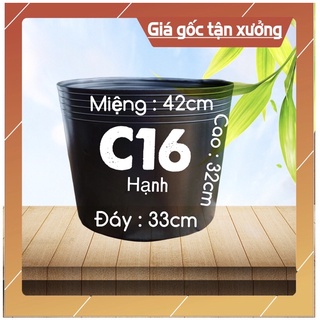 Combo 5-10-20 chậu nhựa c16 trồng cây