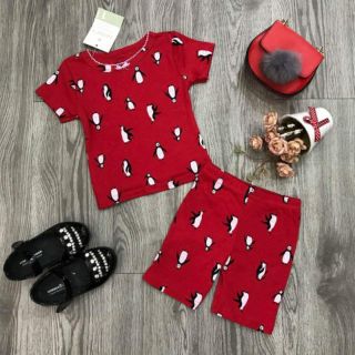 Combo bộ carter's cho bé trai và gái cực HOT