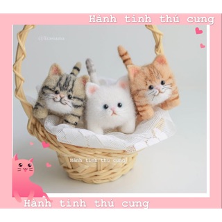 KIT MÈO NGỐC NGHẾCH  LEN CHỌC CÓ HƯỚNG DẪN