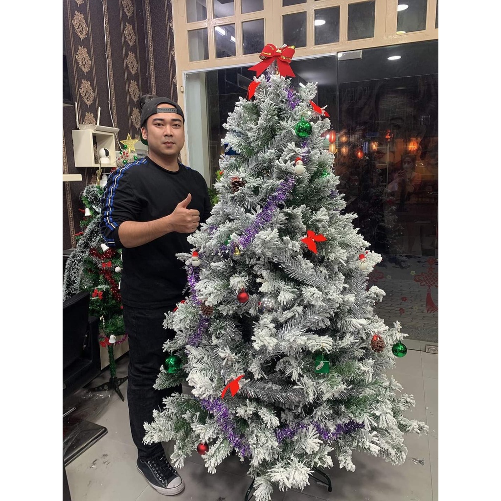 Cây thông noel phủ tuyết 2m - Cây cao cấp tán dày và rộng