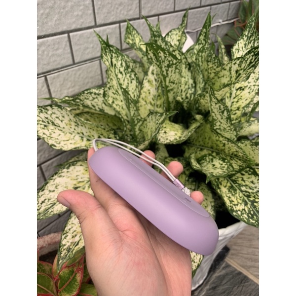 Loa bluetooth B&O Beoplay P2