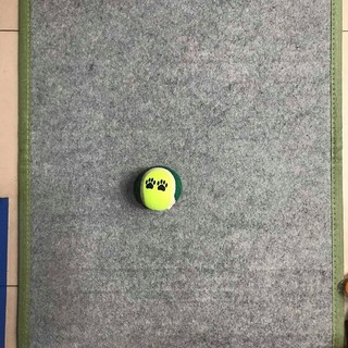 Đồ chơi cho chó - Bóng tenis