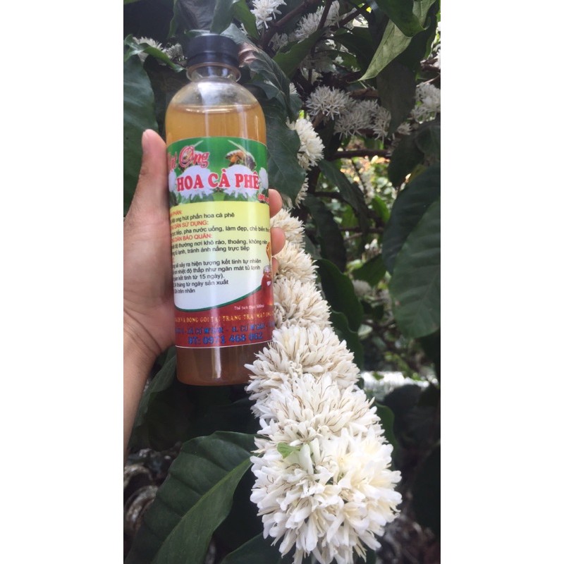 Com bo 2 chai 500ml Mật Ong Hoa Cà Phê 100% Nguyên Chất đóng gói Từ trang Trại Cô Hà | BigBuy360 - bigbuy360.vn