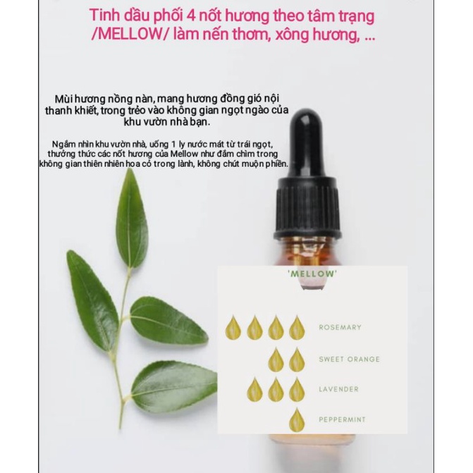 TINH DẦU PHỐI 4 NỐT HƯƠNG THEO TÂM TRẠNG /MELLOW/ LÀM NẾN THƠM, XÔNG HƯƠNG, .... - 9293store - 9293nguyenlieu