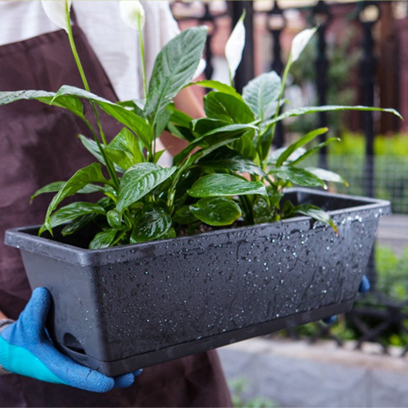 Set 2 hộp trồng cây tự tưới hình chữ nhật trang trí nhà cửa