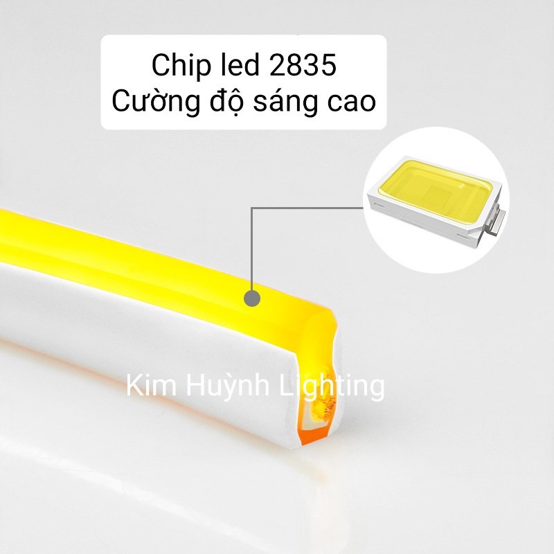 Bộ đèn Led neon dài 5m mm đổi màu RGB chỉnh APP nháy theo nhạc kèm remote