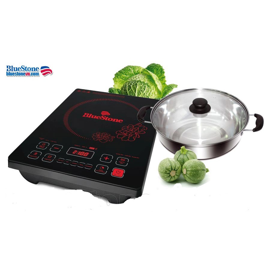 BẾP TỪ BLUESTONE ICB-6667