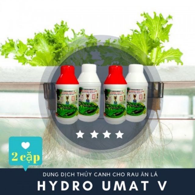 DUNG DỊCH DINH DƯỠNG THỦY CANH HYDROUMAT V CHO RAU ĂN LÁ TIỆN LỢI