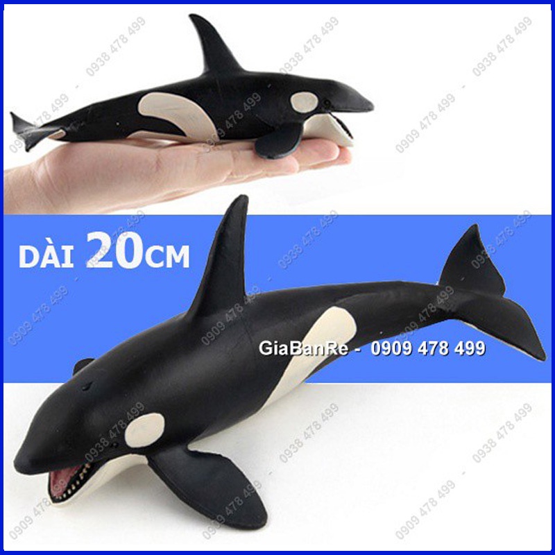 Mô Hình Cá Voi Sát Thủ - Hunter Whale 20cm - 7673.8