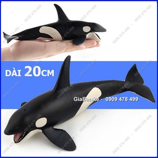 Mô Hình Cá Voi Sát Thủ - Hunter Whale 20cm - 7673.8