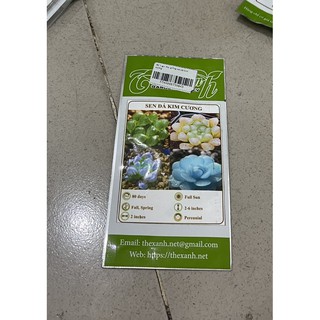 Hạt giống sen đá kim cương - 1 gói