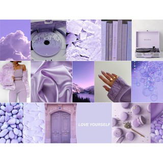 [FREESHIP EXTRA] 12 tấm Wall Collage - theme Lavender