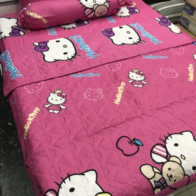 Bộ Drap cotton 4 món 1m6x2m