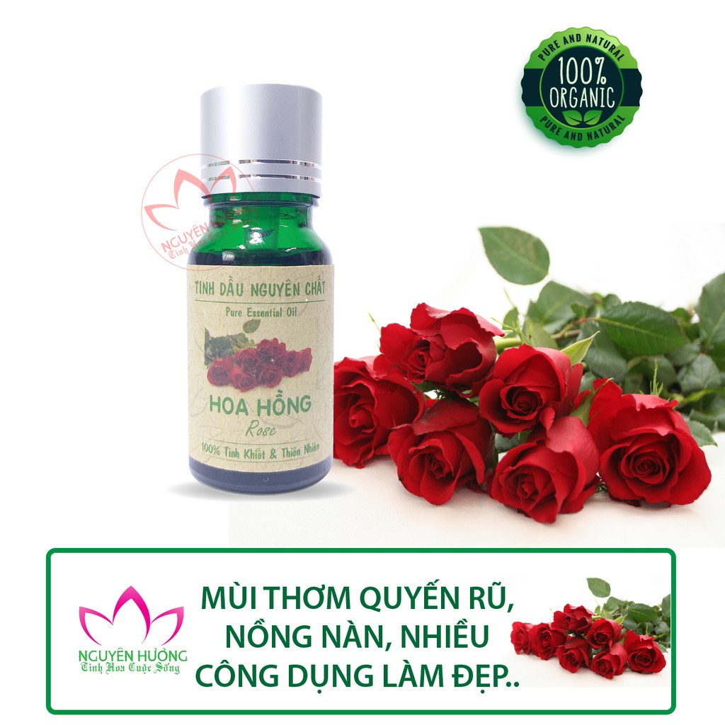 TINH DẦU HOA HỒNG (ROSE) - %100 NGUYÊN CHẤT ( XÔNG THƠM PHÒNG - CHĂM SÓC DA ) NH