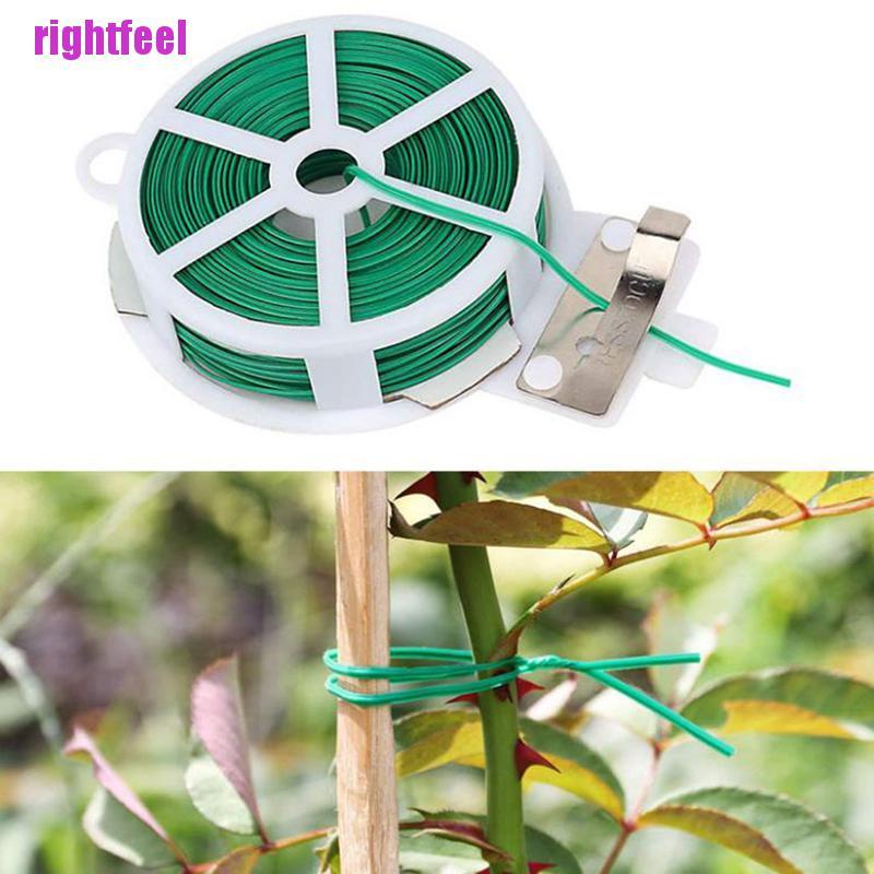 Cuộn Dây Hỗ Trợ Trồng Cây